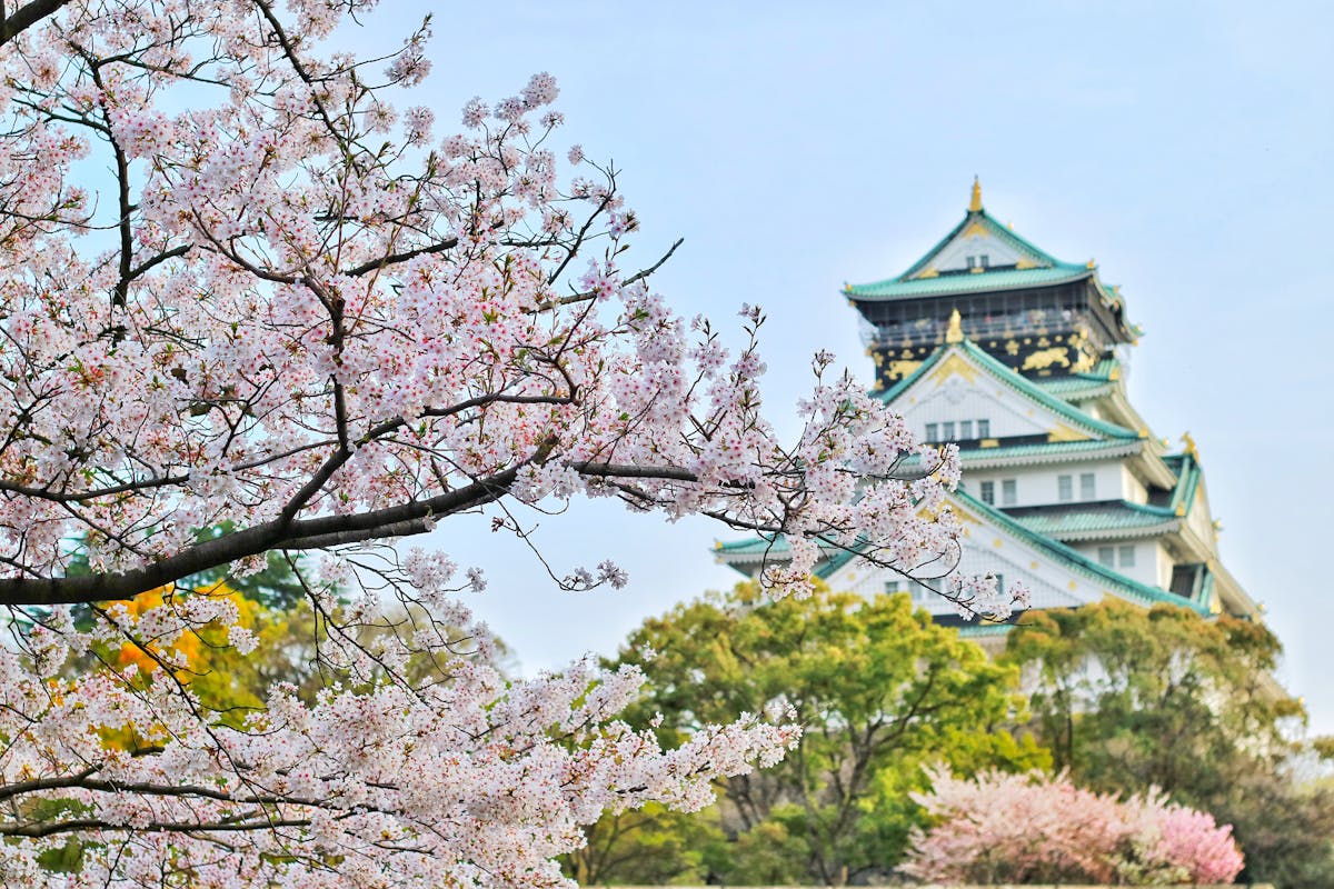 10 Destinasi Wisata Jepang Terfavorit yang Harus Kamu Jelajahi di 2025